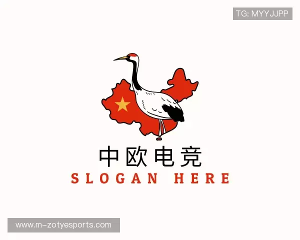 了解中欧体育